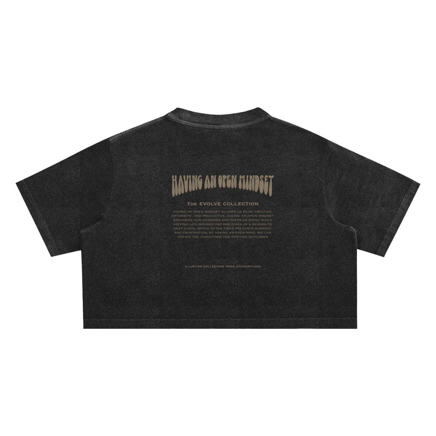 Stay Dirtless SS26  Vintage Faded Crop top